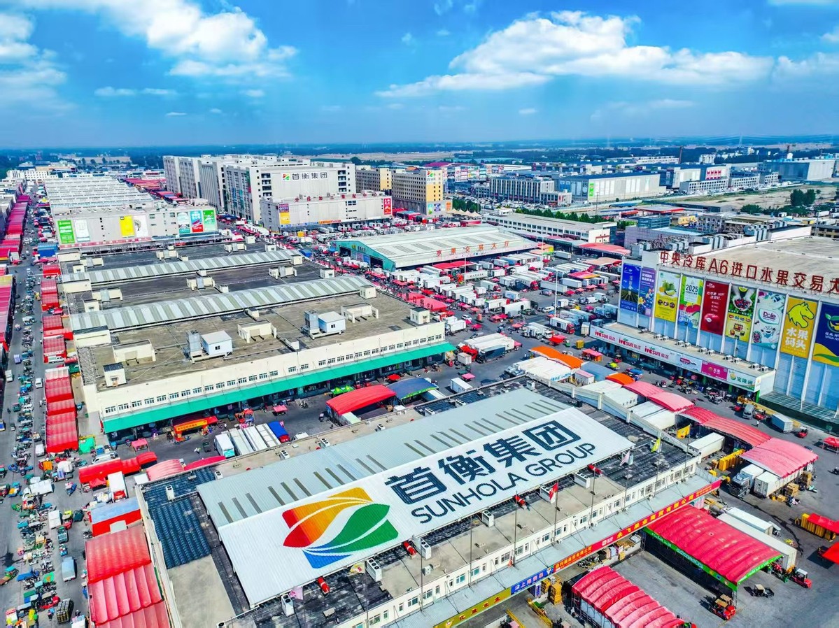 荔枝丰收年首衡推动“南果北运”新实践：高碑店市场日吞吐超千吨