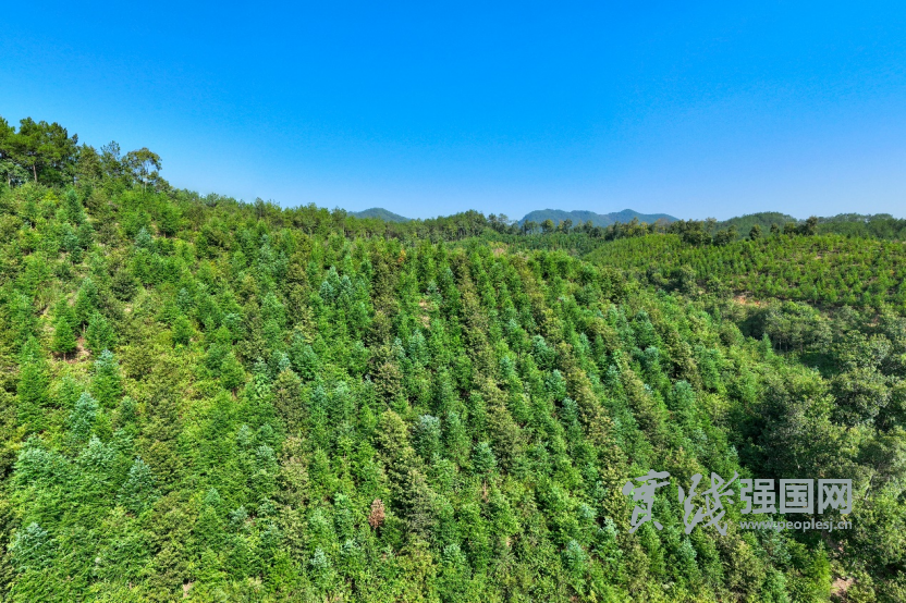 “清流”连“城乡”串起“共富链”——三明市清流县探索城乡融合发展新路纪实