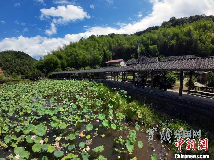 朱子渊源里的古村新韵——福建莒口传统村落焕发活力