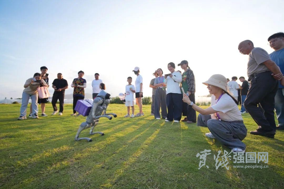 温州乐清：葡萄香里话丰年 非遗潮玩引客来