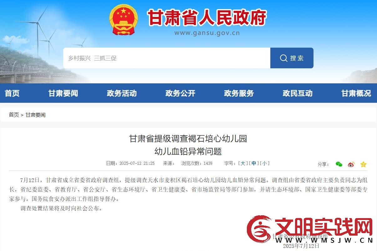 甘肃省提级调查褐石培心幼儿园幼儿血铅异常问题