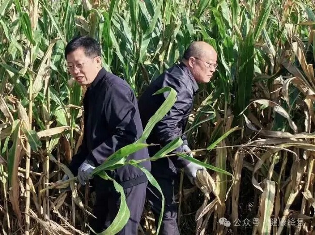 绛县卫生健康局开展“助农抢收暖民心・机关干部在行动”志愿服务活动