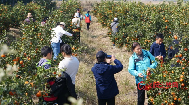 “益心赣”青春守护计划:自然赋能青春成长 漫步鄱阳 · 鹤羽清华 image.png