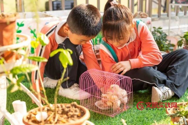 “学在西区”:教育强基三年行动,绘就优质均衡新画卷 “学在西区”:教育强基三年行动,绘就优质均衡新画卷