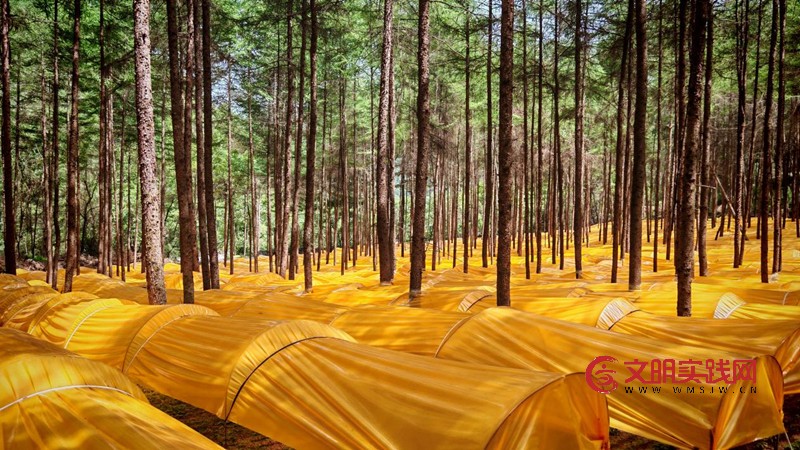 从腊味飘香到星空璀璨:陕西四地用“土特色”点亮乡村振兴路 从腊味飘香到星空璀璨:陕西四地用“土特色”点亮乡村振兴路