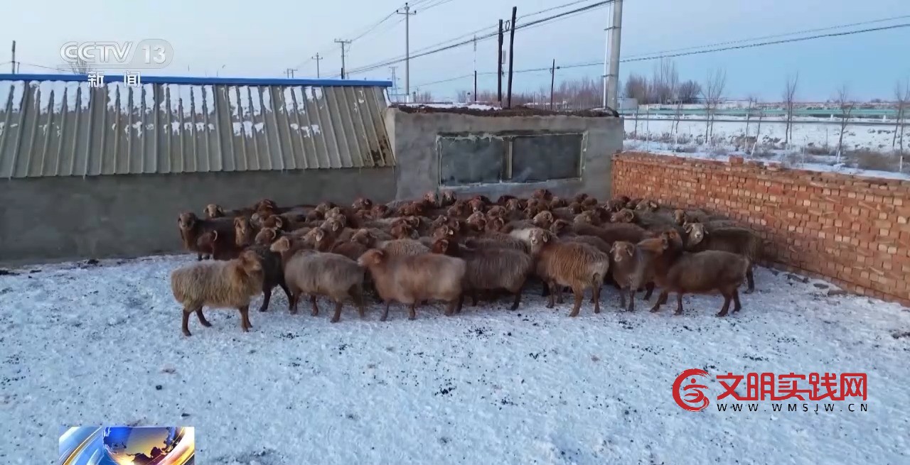 暖心举措抵御严寒 各地织密困难群体过冬保障网