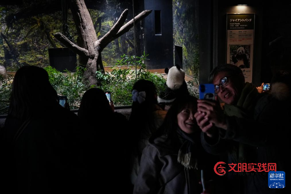 大熊猫“晓晓”和“蕾蕾”将于27日从日本回国