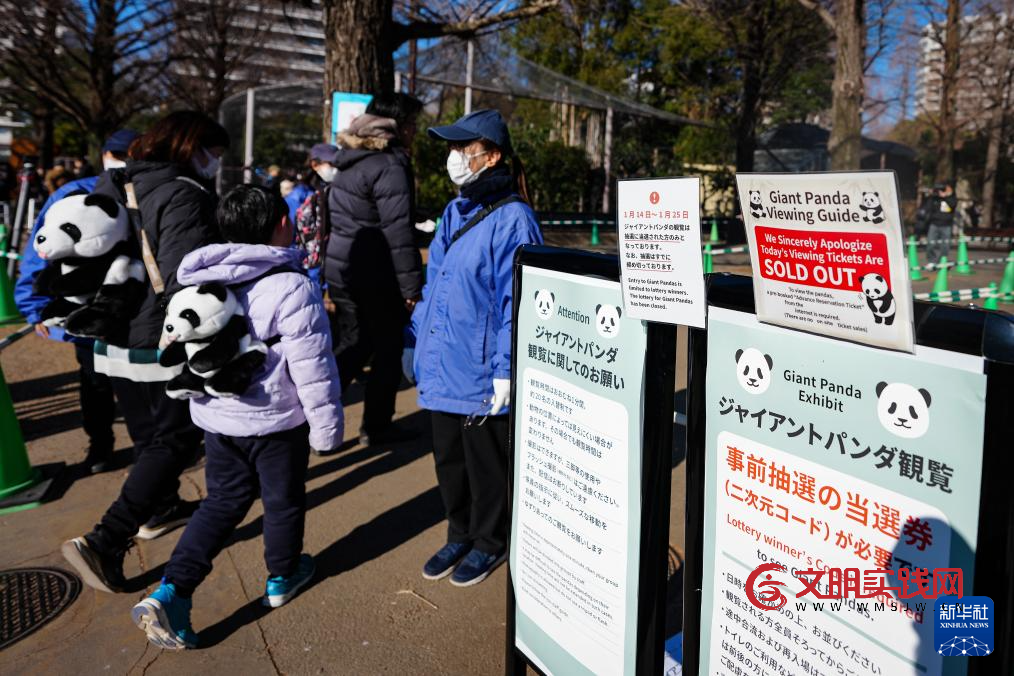 大熊猫“晓晓”和“蕾蕾”将于27日从日本回国