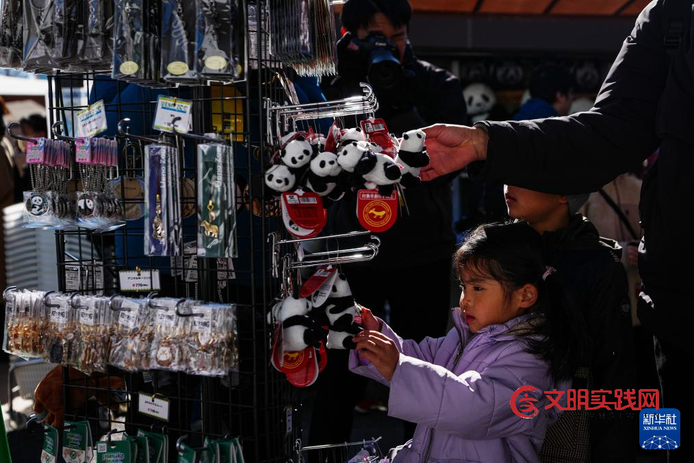 大熊猫“晓晓”和“蕾蕾”将于27日从日本回国