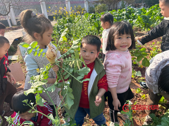 秋种冬收乐耕耘 童心收获满庭芳 image.png