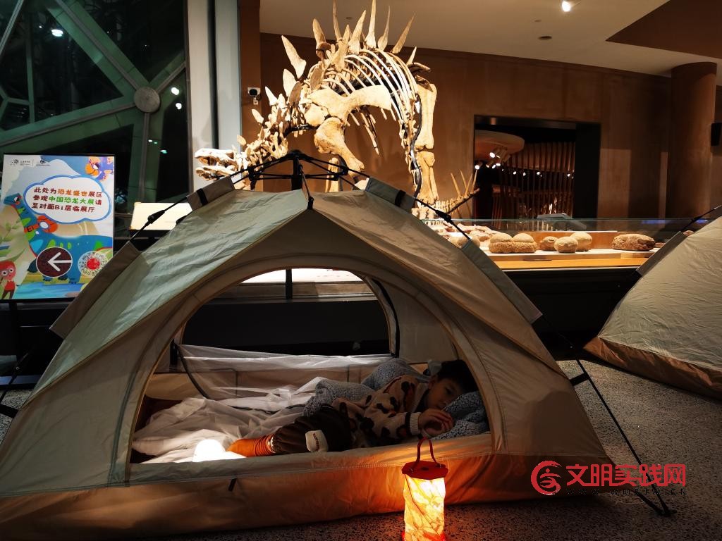 与恐龙“同眠”是怎样的体验? 与恐龙“同眠”是怎样的体验?