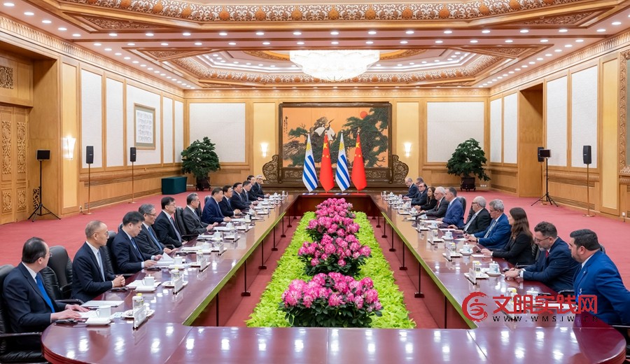 习近平同乌拉圭总统奥尔西举行会谈