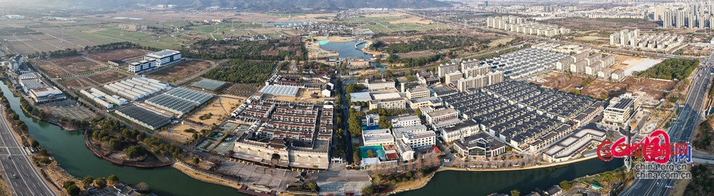 新春走基层 |滕头村党委书记傅平均践行乡村振兴的日常答卷