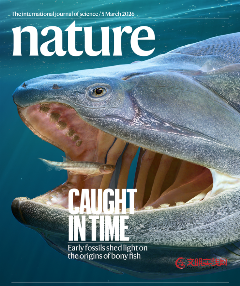 “从鱼到人”再添新证!我国发现早期硬骨鱼类化石 “从鱼到人”再添新证!我国发现早期硬骨鱼类化石