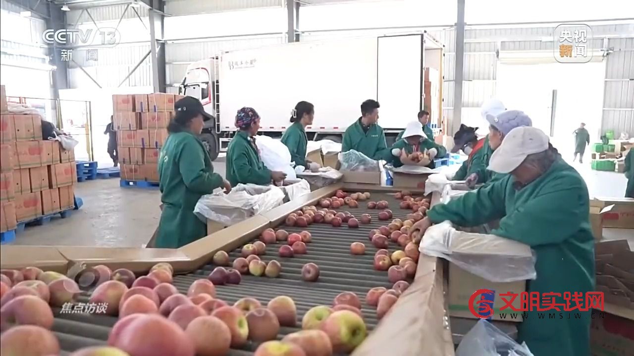 “小苹果”撬动大产业 区域协作让农产品“出山达海” “小苹果”撬动大产业 区域协作让农产品“出山达海”