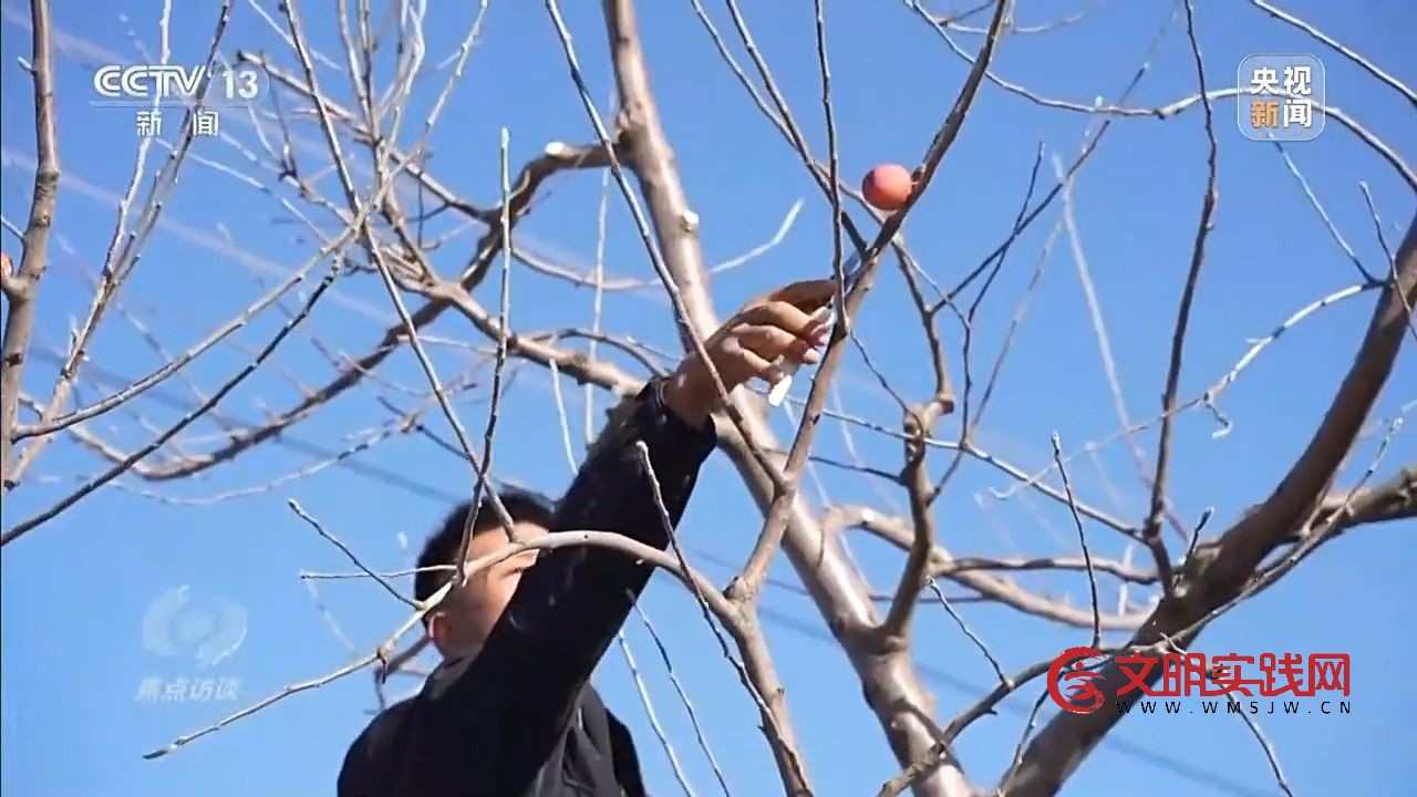 “小苹果”撬动大产业 区域协作让农产品“出山达海” “小苹果”撬动大产业 区域协作让农产品“出山达海”