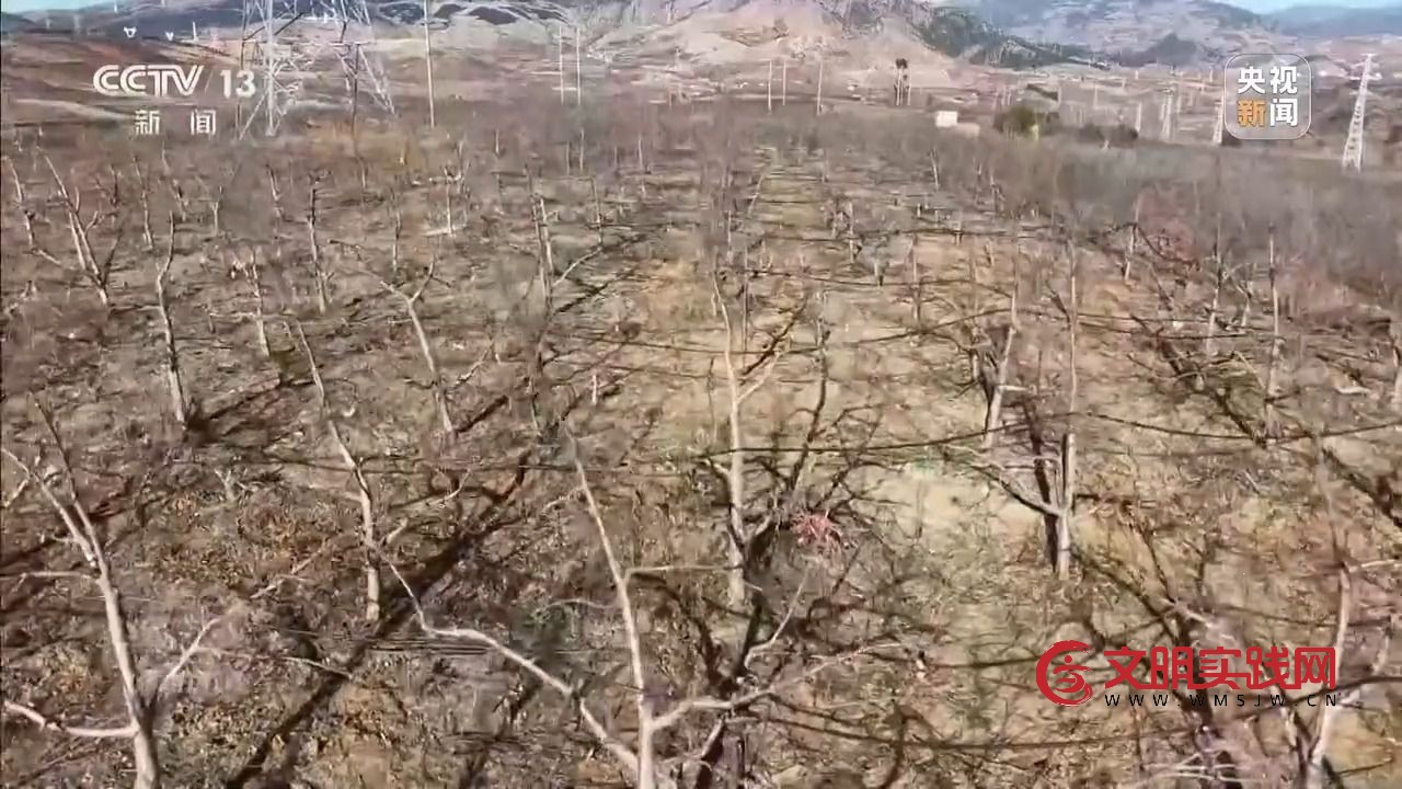 “小苹果”撬动大产业 区域协作让农产品“出山达海” “小苹果”撬动大产业 区域协作让农产品“出山达海”