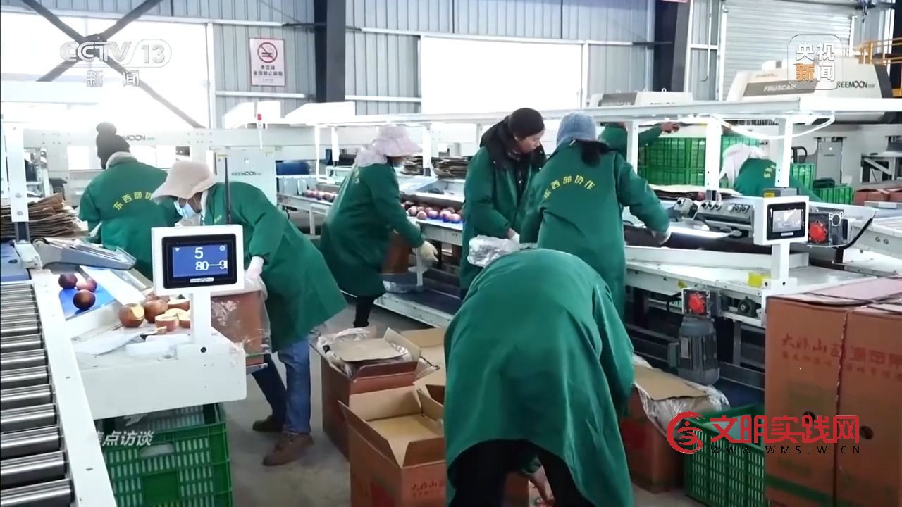 “小苹果”撬动大产业 区域协作让农产品“出山达海” “小苹果”撬动大产业 区域协作让农产品“出山达海”