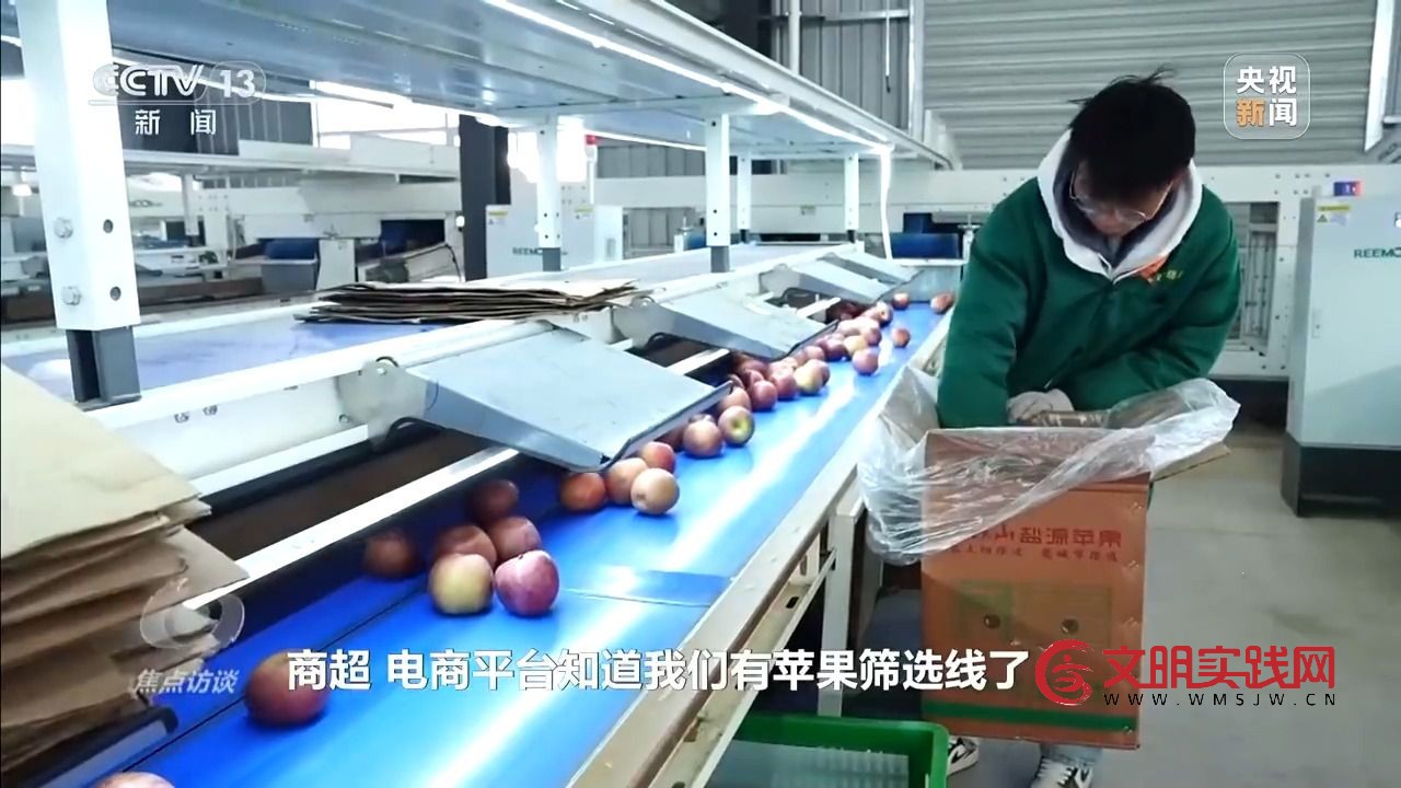 “小苹果”撬动大产业 区域协作让农产品“出山达海” “小苹果”撬动大产业 区域协作让农产品“出山达海”