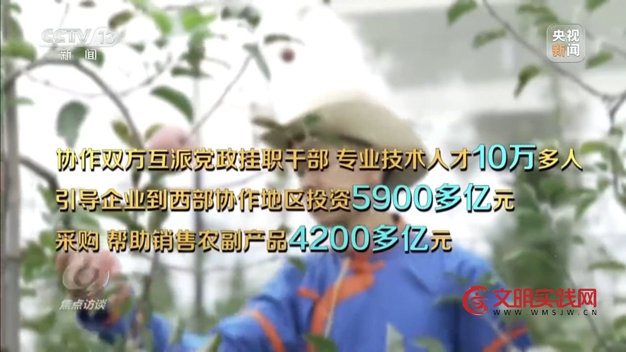 “小苹果”撬动大产业 区域协作让农产品“出山达海” “小苹果”撬动大产业 区域协作让农产品“出山达海”