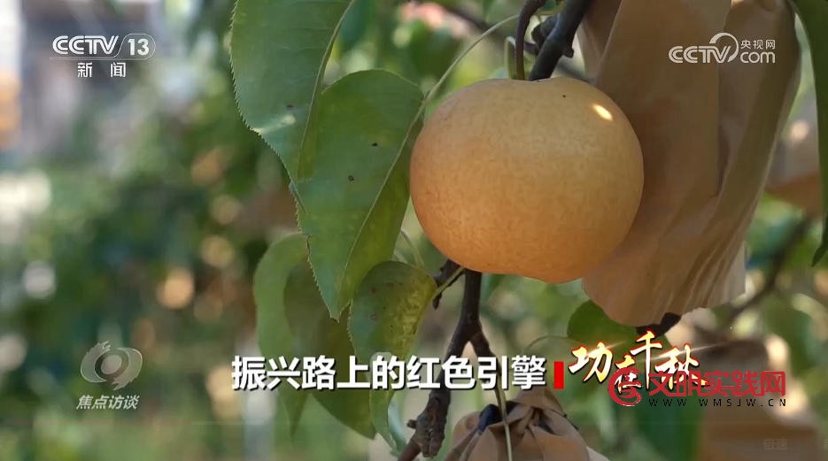 产业兴、乡村美、百姓富 “穷窝窝”如何走上振兴致富路？