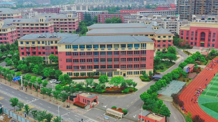 安徽肥西：凝心聚力绘蓝图 实干担当启新程