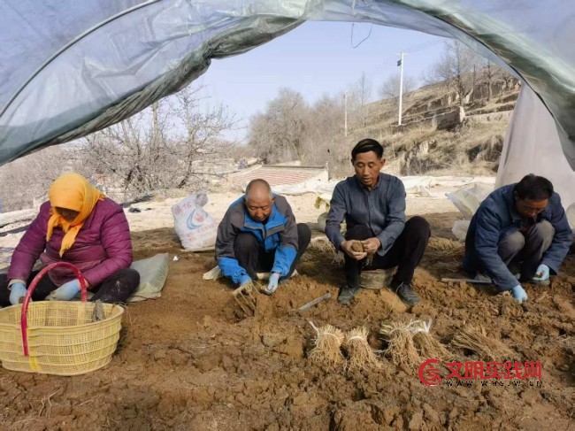 甘肃渭源：春耕复工复产 奋力冲刺“开门红”