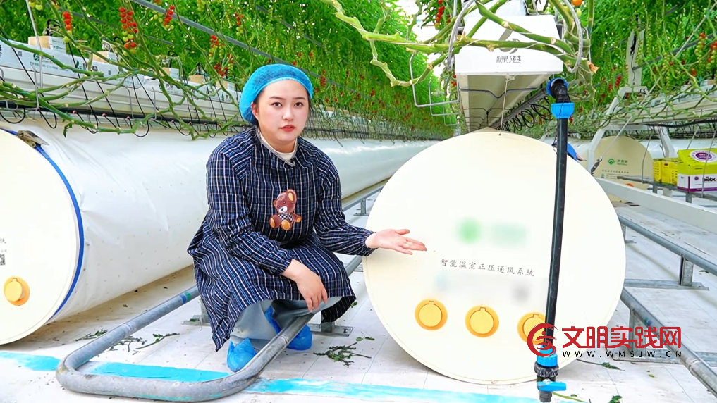 解锁雄安智慧农业的“隐藏技能”