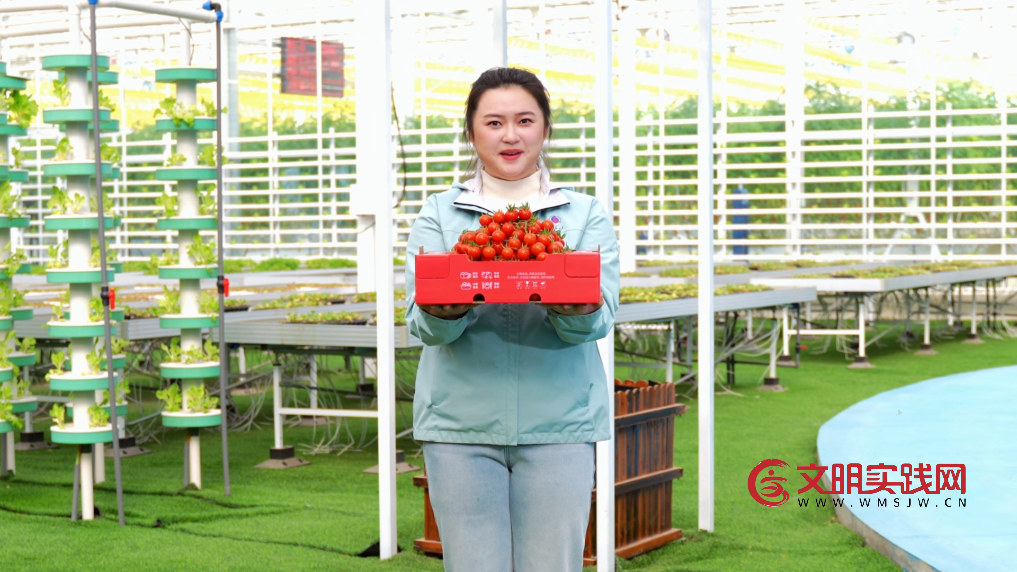 解锁雄安智慧农业的“隐藏技能”