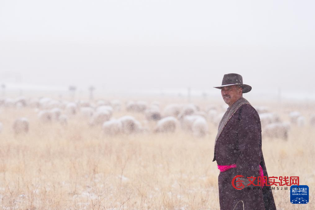 青海祁连： 春雪润高原