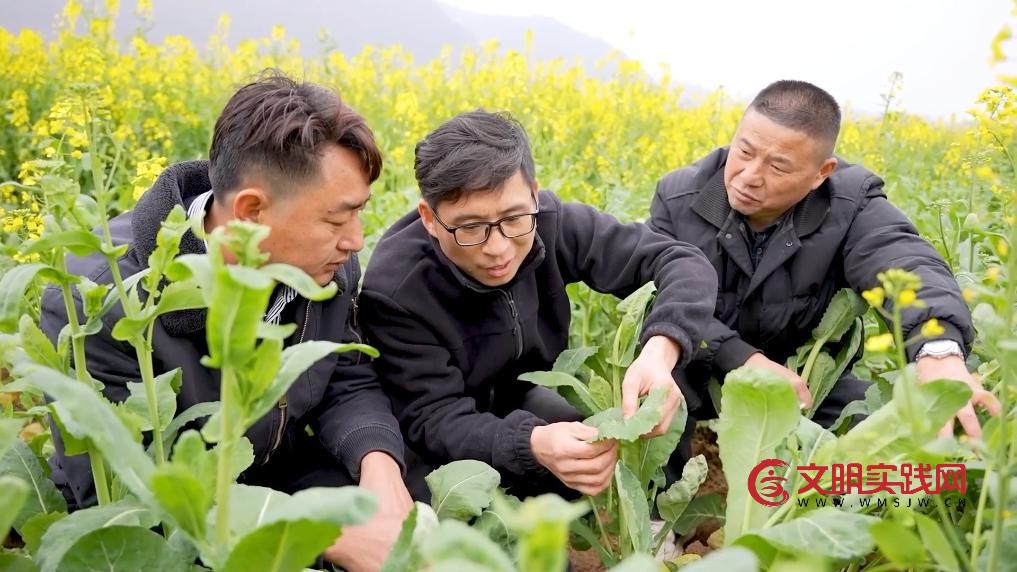 春日奋进正当时 多领域发力共促高质量发展