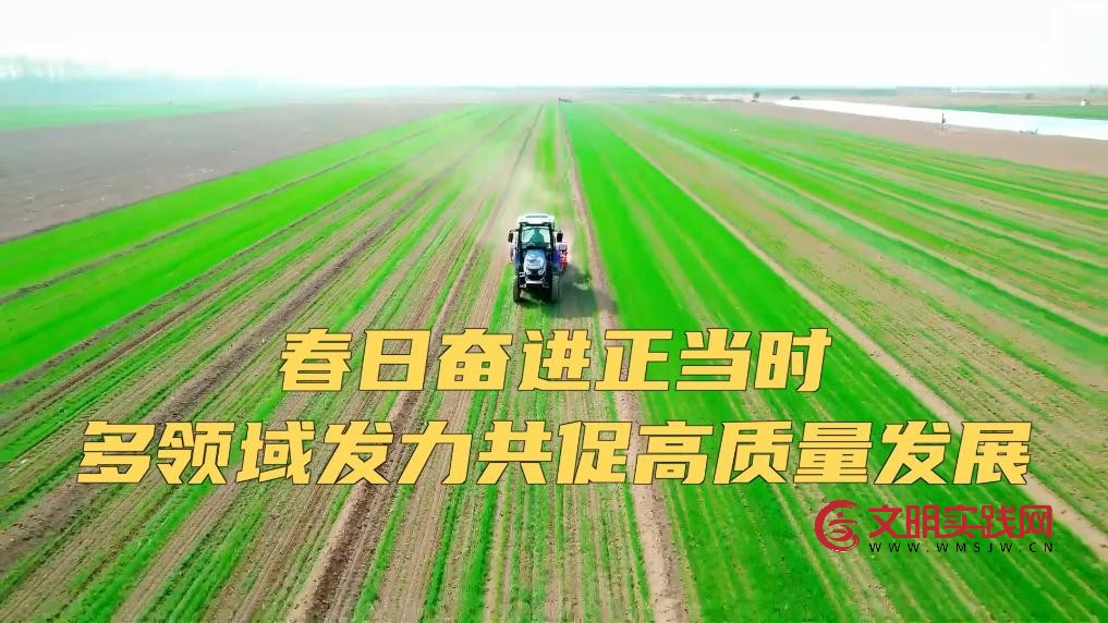 春日奋进正当时 多领域发力共促高质量发展