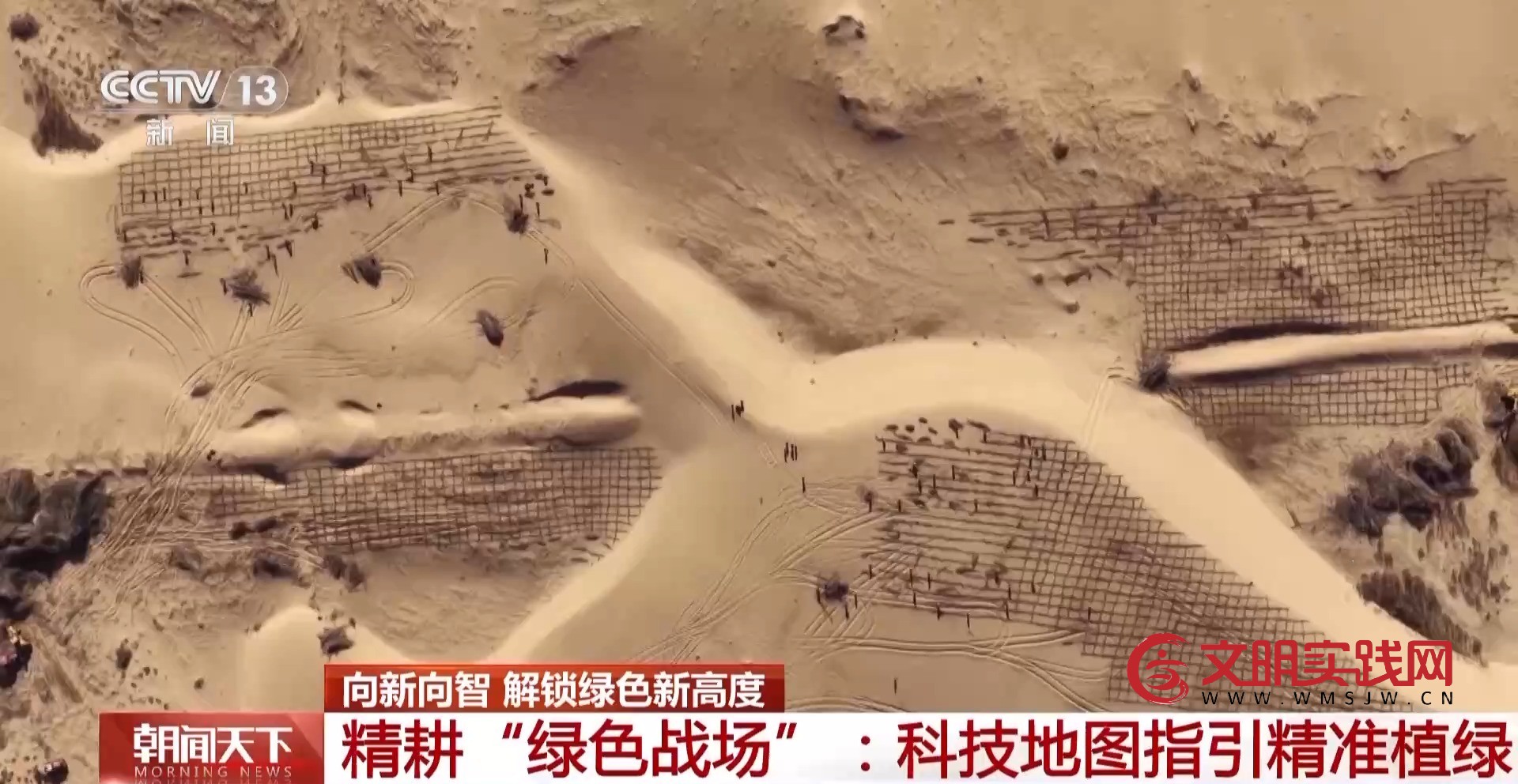 解锁绿色新高度 全球新增绿化面积四分之一来自中国