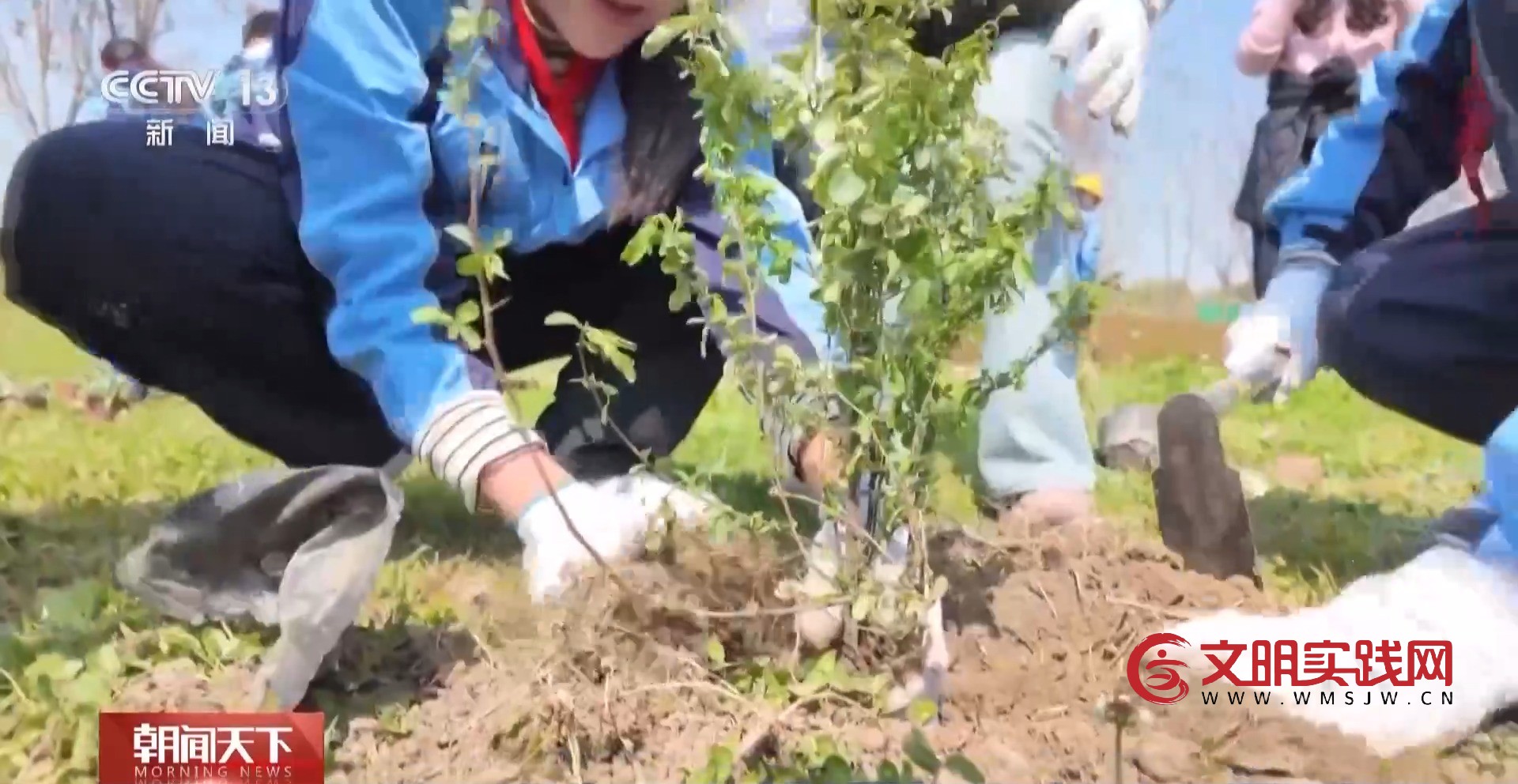 解锁绿色新高度 全球新增绿化面积四分之一来自中国