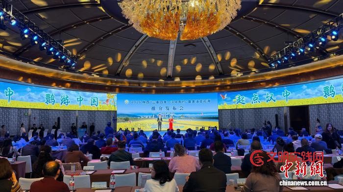 百万亩油菜花盛放 陕西汉中“产景共兴”催热“花经济”