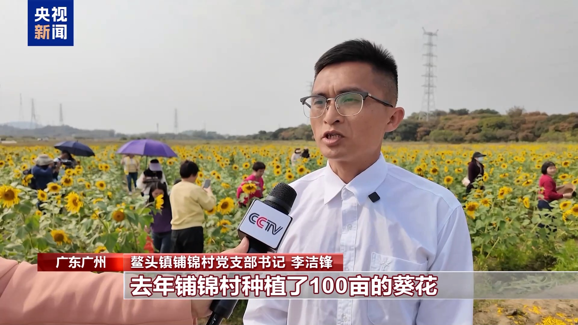 从赏花到增收 花海变“产值” 解锁春日浪漫