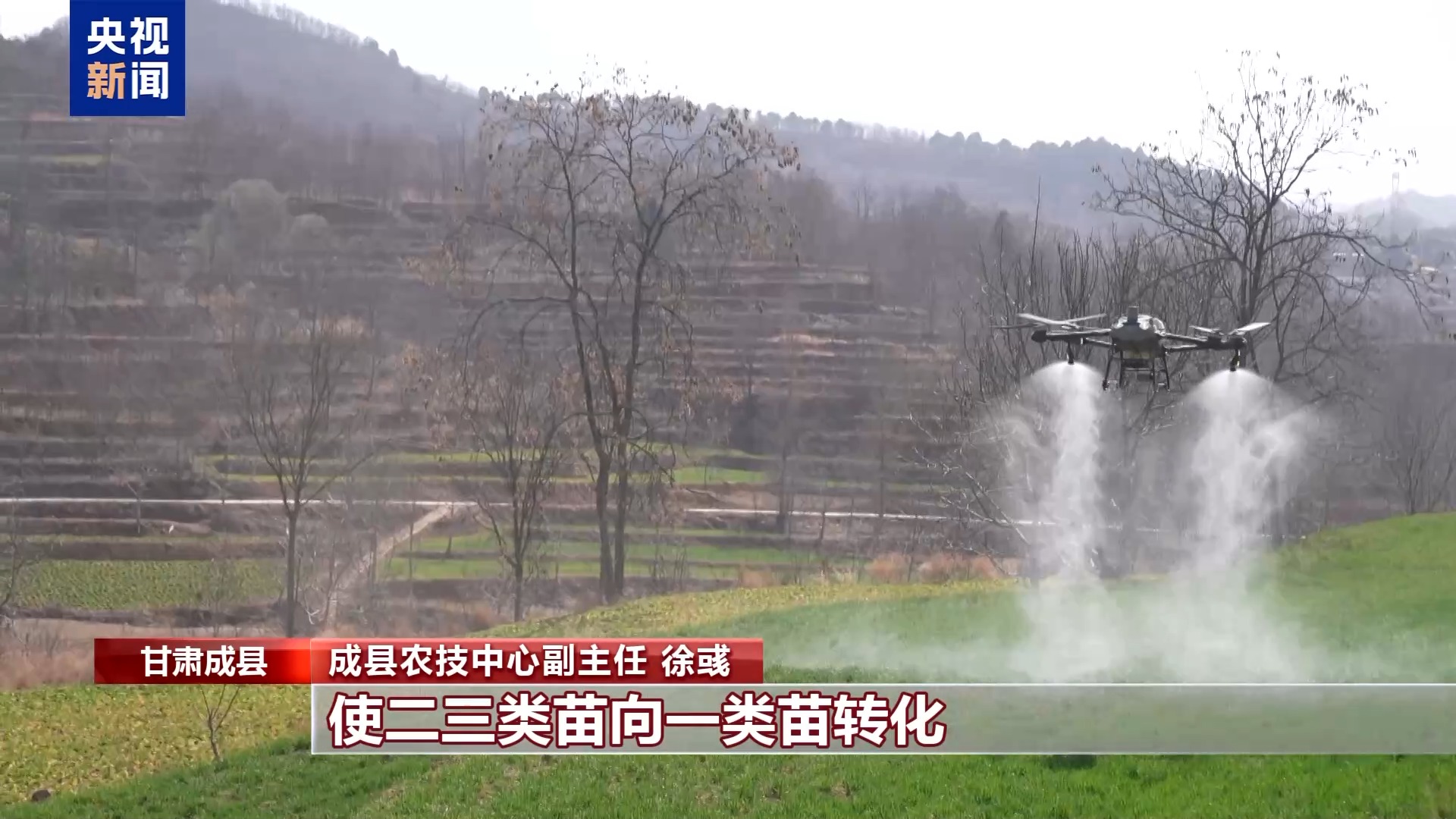 从赏花到增收 花海变“产值” 解锁春日浪漫