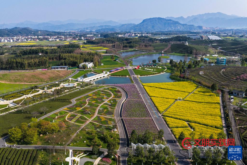 春日花田百花争艳 春日花田百花争艳