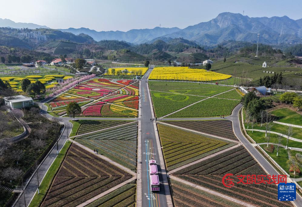 春日花田百花争艳 春日花田百花争艳