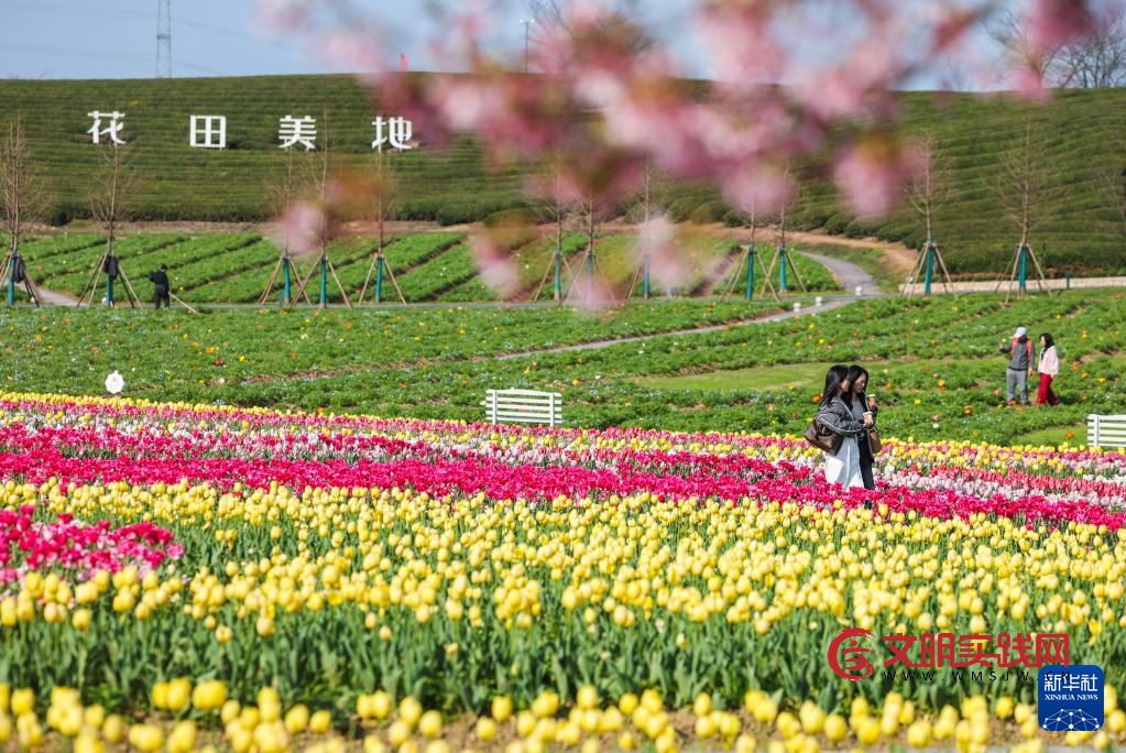 春日花田百花争艳 春日花田百花争艳