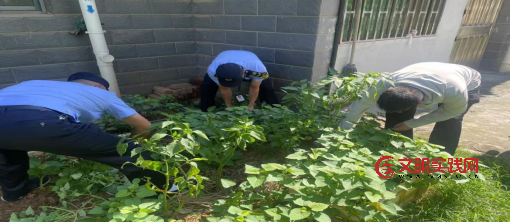 王若轩：从应届毕业生到城市治理合规执行者的进阶之路