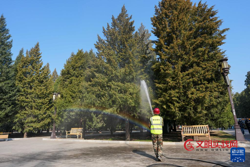 北京:多项措施应对“花粉季” 北京:多项措施应对“花粉季”