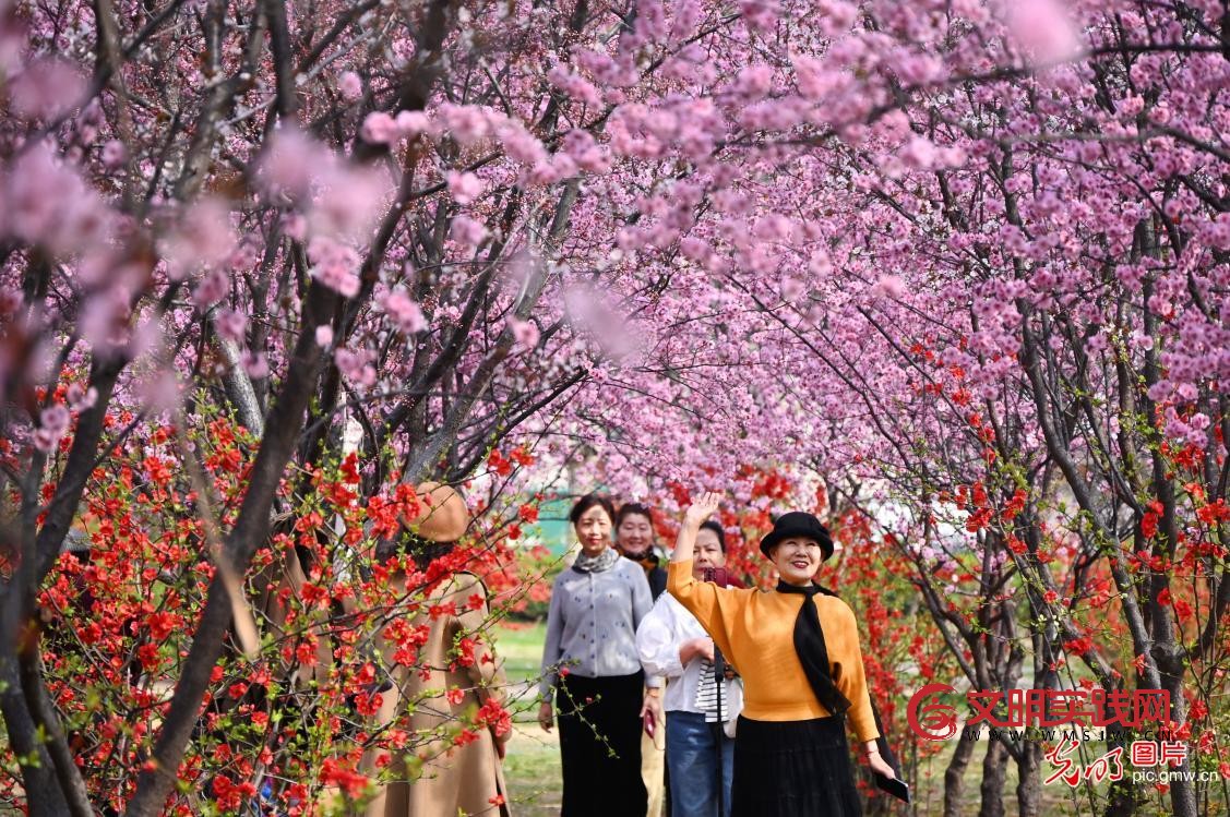 踏青赏花 乐享春光