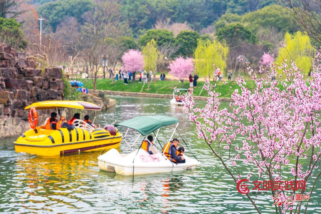 踏青赏花 乐享春光