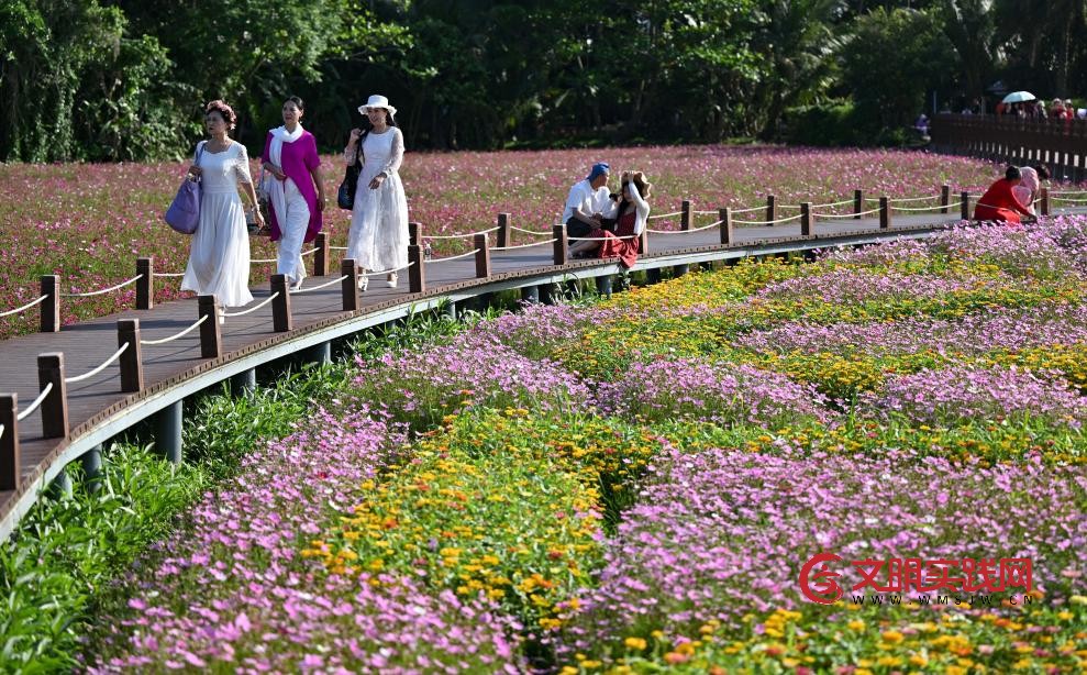 琼海美丽乡村“盛装”迎盛会 琼海美丽乡村“盛装”迎盛会