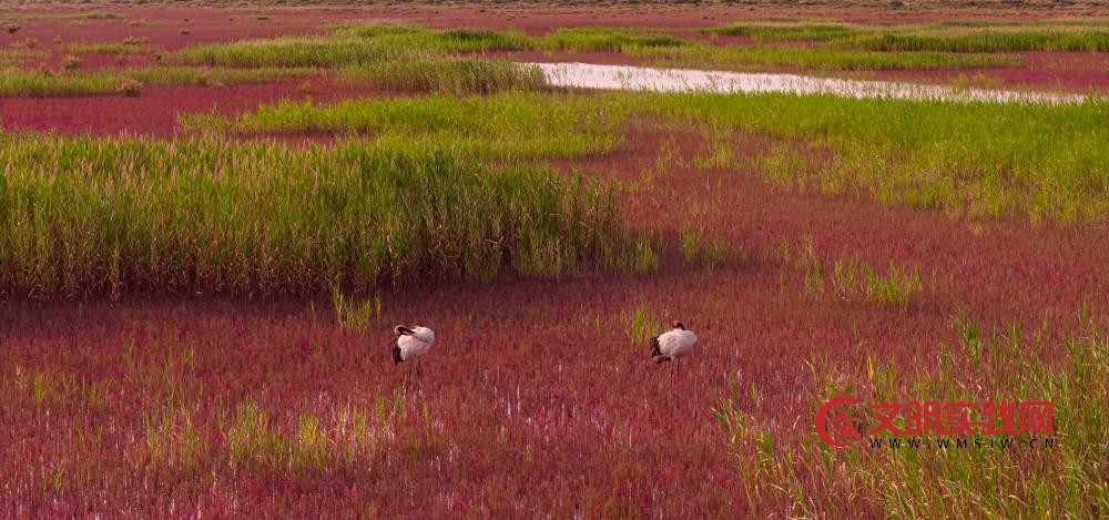 世界水日：听，跨越山河的同频共振