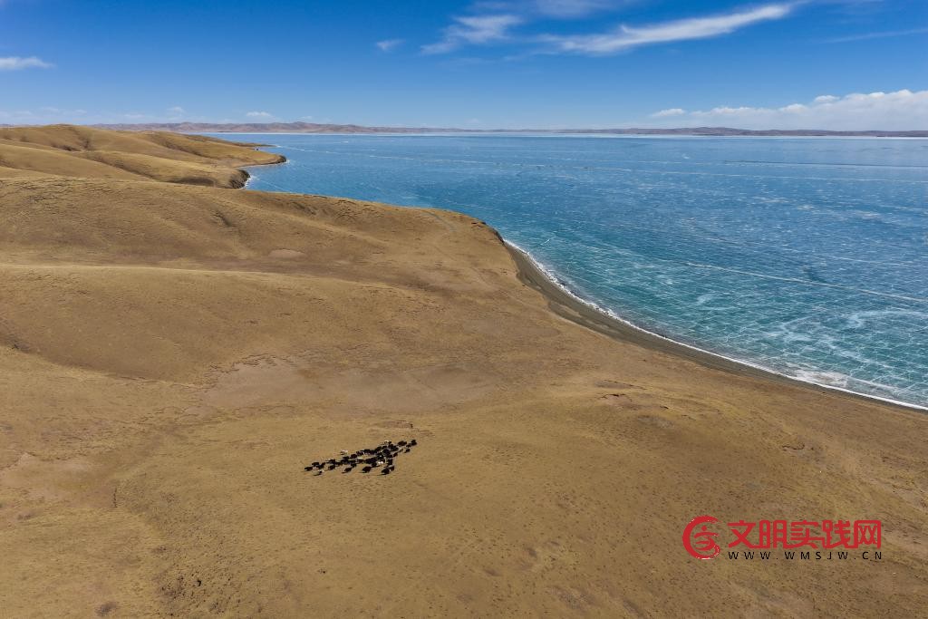 世界水日：听，跨越山河的同频共振