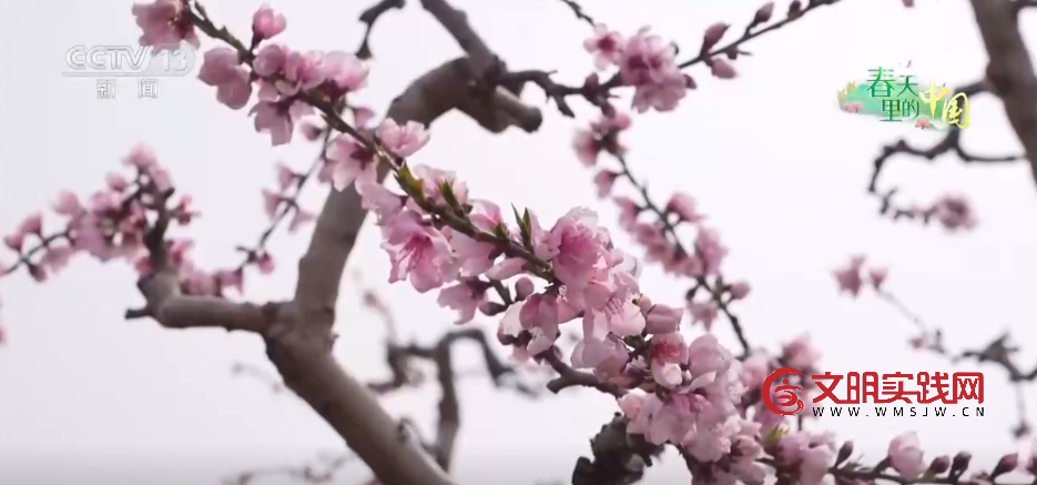 争农时、抢春管、推技术、保丰产 农业科技助力下好春耕生产“先手棋”