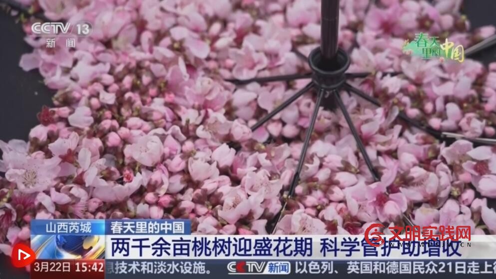 争农时、抢春管、推技术、保丰产 农业科技助力下好春耕生产“先手棋”