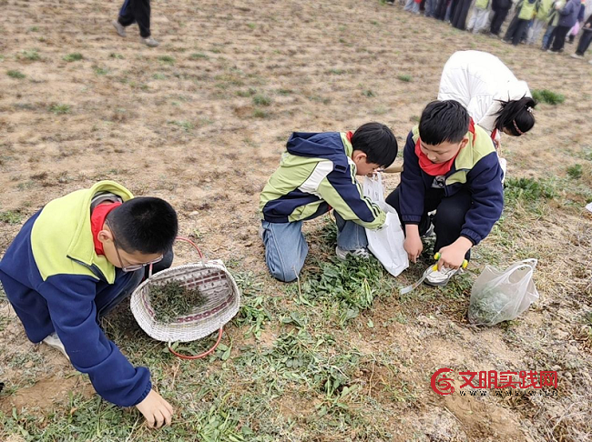 山西闻喜:走进希望的田野 体验收获的快乐 图片5.png